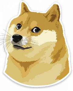 Sasha Foxgirl